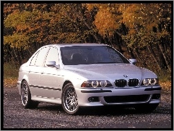 E39, BMW, M5